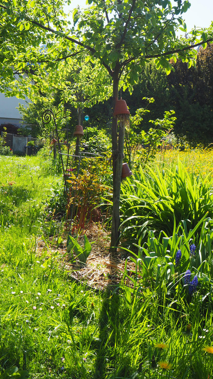P4218042.JPG