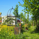 P4218045.JPG