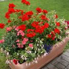 St Gallenkirch GH Aquarena G2.JPG