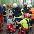 Böschungsbrand in Traunfall
