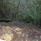 170-IMG_5912.JPG