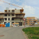 DSC06381.JPG
