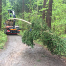 IMG-20170428-WA0015.jpg