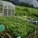 St Gallenkirch Mathis Maria G1.JPG