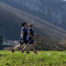 _MG_1784.jpg
