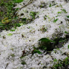 20180423fmt_ffwoberalm_ta_001.JPG
