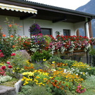 Vandans Bertel G3.JPG