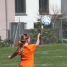 IMG_6766.jpg