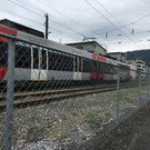 IMG_5822.JPG