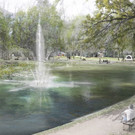 stadt_dialog_unser_volksgarten_004692531.jpg
