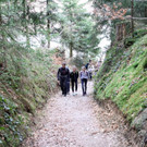 086-IMG_9428.JPG