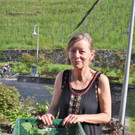 Blumen- und. Pflanzentauschmarkt in Röthis