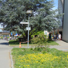 DSC06427.JPG