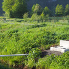 P4278388.JPG