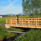 P4278433.JPG