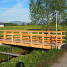 P4278435.JPG