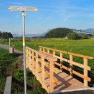 P4278445.JPG