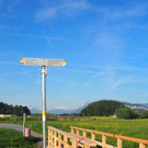 P4278446.JPG