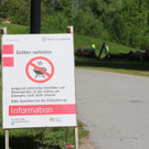 20180427fmt_glanspitz_fm_02.JPG