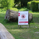20180427fmt_glanspitz_fm_10.JPG