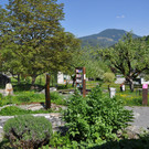 DSC_0109.JPG