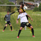 2018-04-29_0101_bearbeitet-1.jpg