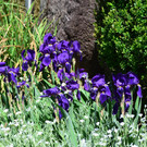 B__nkletag 300418_8.JPG