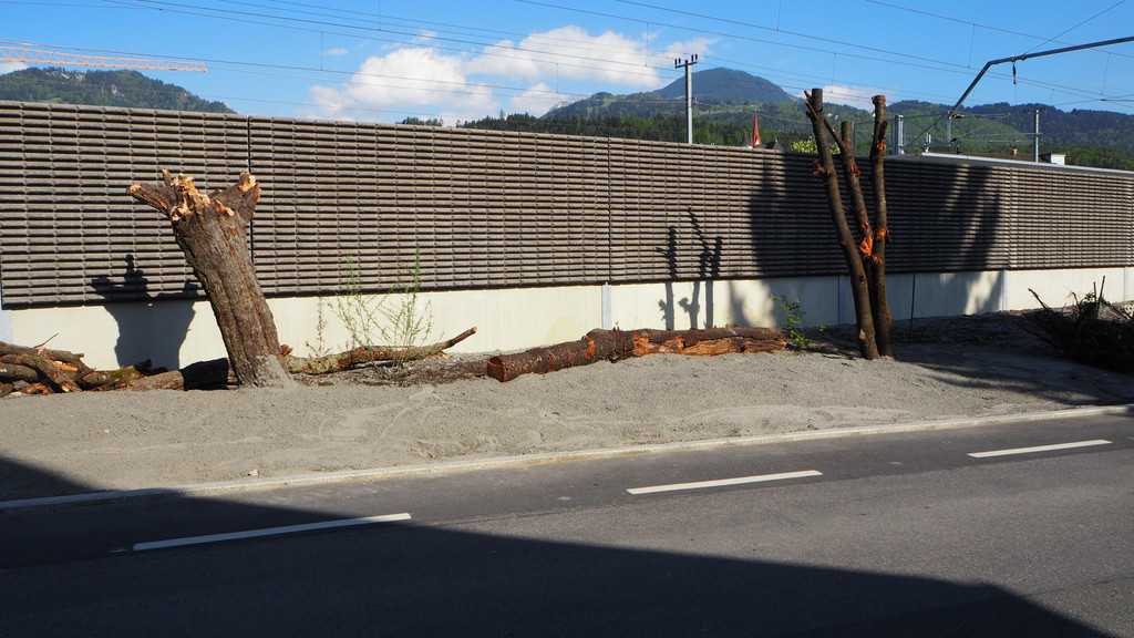 P4278714.JPG