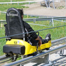 20180428_FMT__Sommerrodelbahn_Ruhpolding_KJ_002.JPG