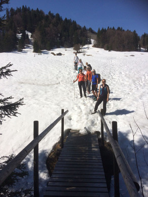 WhatsApp Image 2018-04-22 at 14_03_31.jpeg