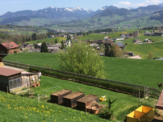 WhatsApp Image 2018-04-22 at 14_03_31_1_.jpeg