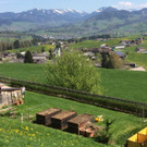 WhatsApp Image 2018-04-22 at 14_03_31_1_.jpeg