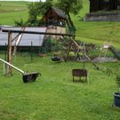 Dalaas Hueber Ch G2.JPG