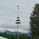 DSC06429.JPG