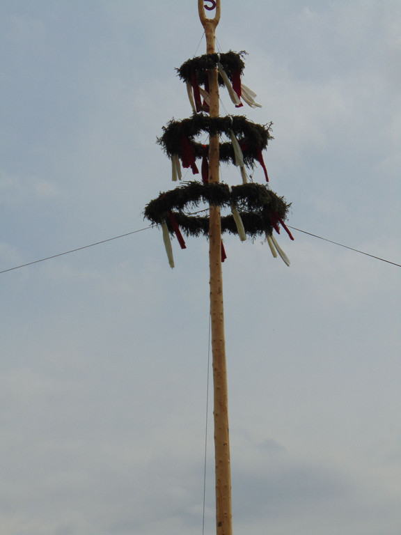 DSC06446.JPG