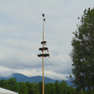 DSC06429.JPG
