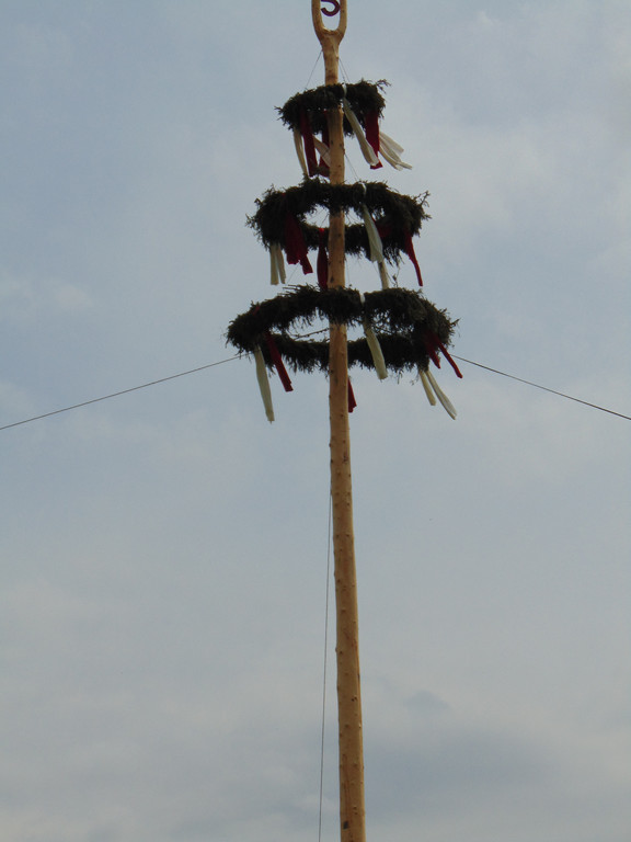 DSC06446.JPG