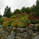 Dalaas Vonblon G3.JPG