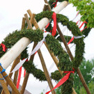 20180501_FMT_Maibaum_Leopoldskron_Moos_KJ_003.JPG