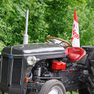 20180501_FMT_Maibaum_Leopoldskron_Moos_KJ_008.JPG