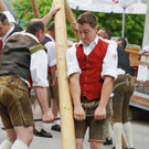20180501_FMT_Maibaum_Leopoldskron_Moos_KJ_012.JPG