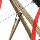 20180501_FMT_Maibaum_Leopoldskron_Moos_KJ_014.JPG