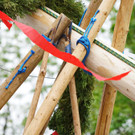 20180501_FMT_Maibaum_Leopoldskron_Moos_KJ_016.JPG