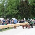 20180501fmt_maibaumfreilichtmuseum_fm_06.JPG
