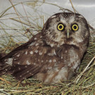 VIER PFOTEN_2018-04-26_110.jpg