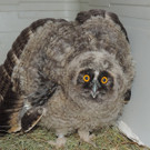 VIER PFOTEN_2018-04-26_111_1_.jpg