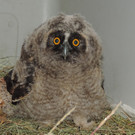 VIER PFOTEN_2018-04-26_112.jpg