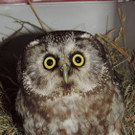 VIER PFOTEN_2018-04-26_115.jpg