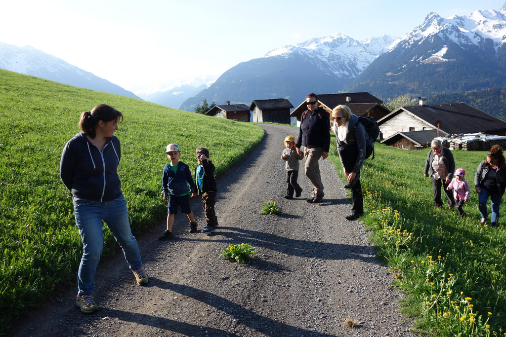 Kr__uterwanderung_ am 25_4 _5_.JPG