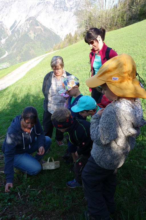 Kr__uterwanderung_ am 25_4 _9_.JPG